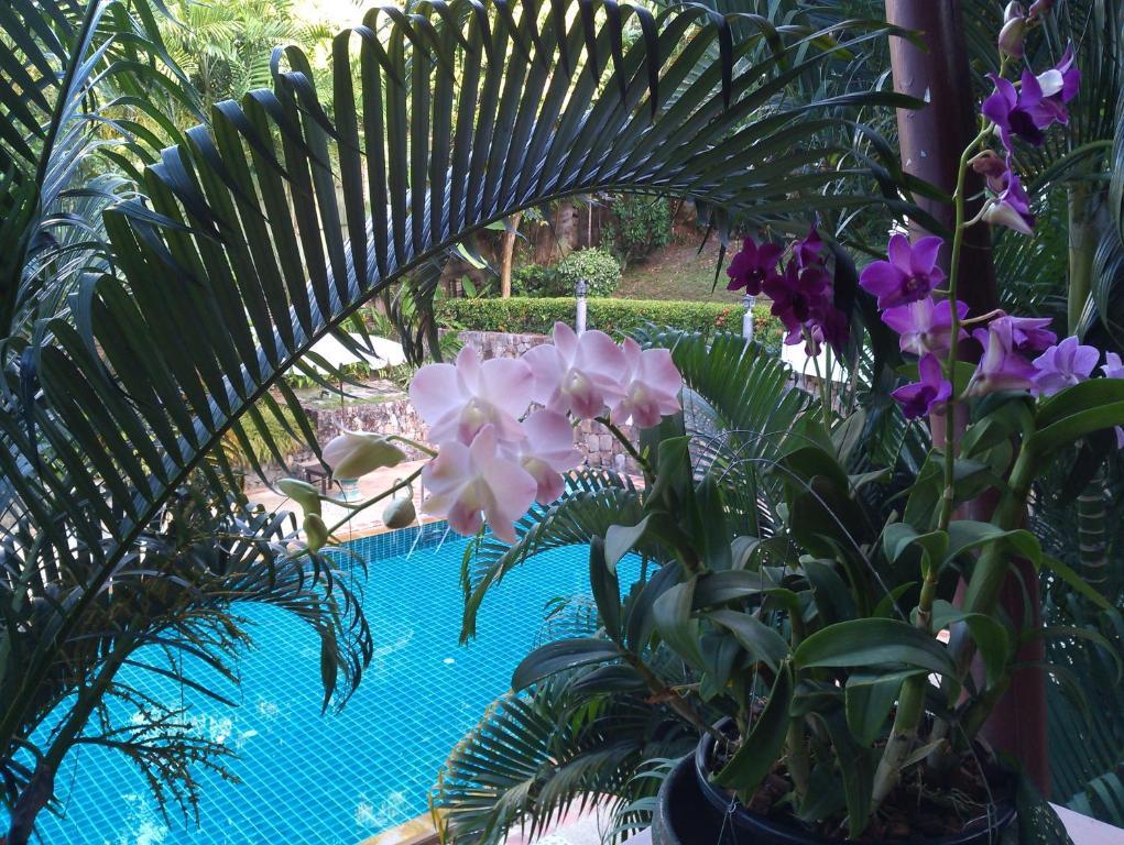 Inter House Hotel Bãi biển Kata Ngoại thất bức ảnh