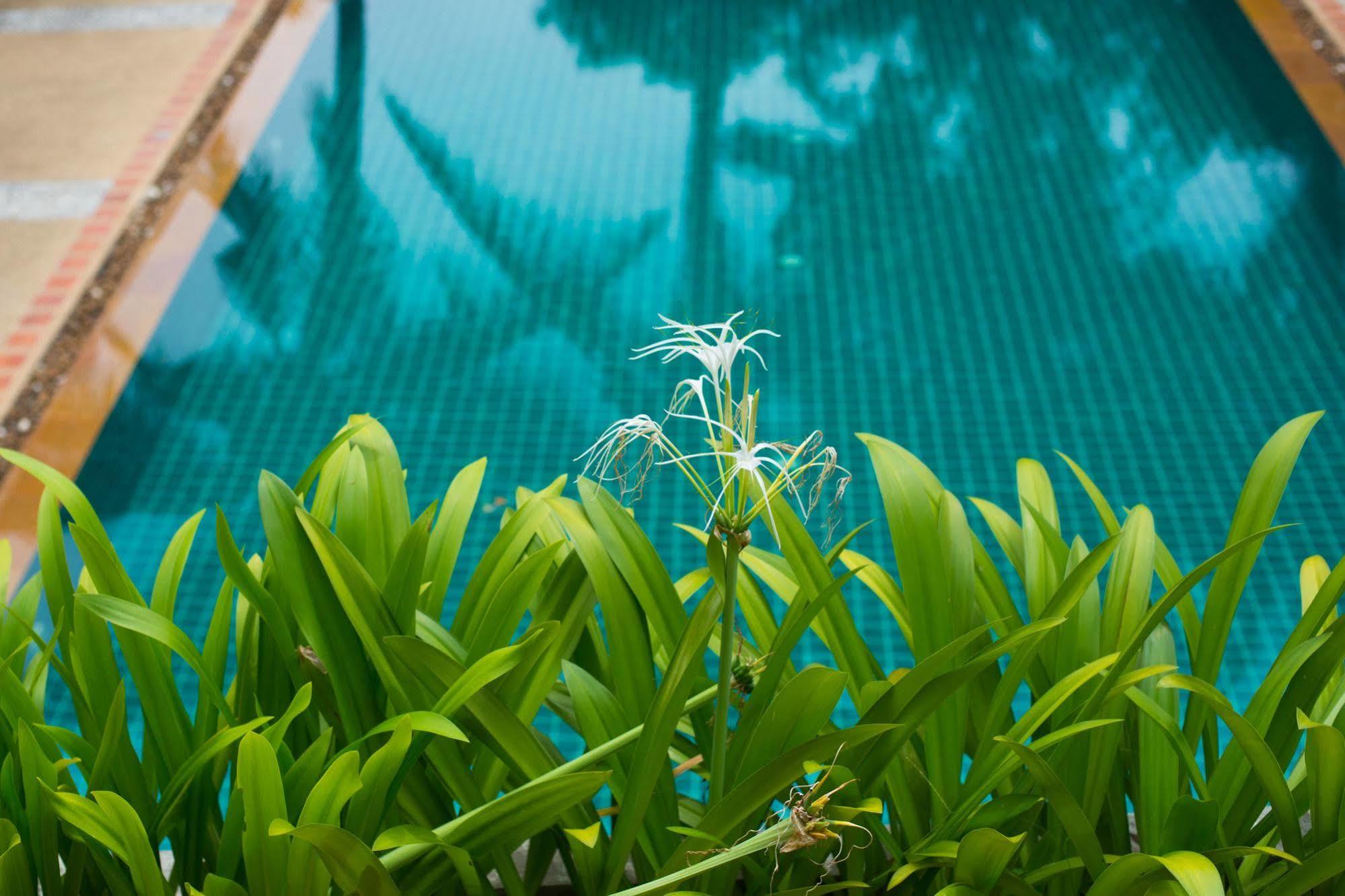 Inter House Hotel Bãi biển Kata Ngoại thất bức ảnh